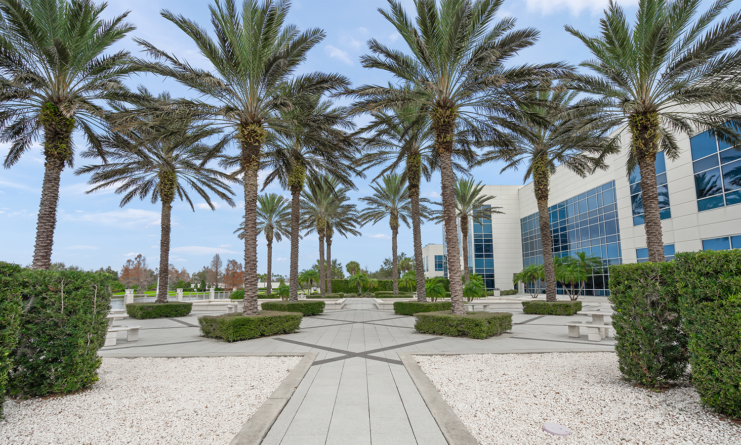 modern dental education facility construction design in Florida
